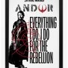 Star Wars Andor I Do Framed Wood Poster